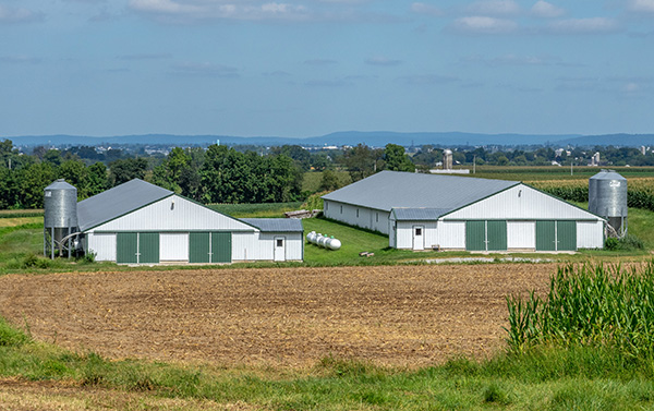 Pomieszczenia inwentarskie