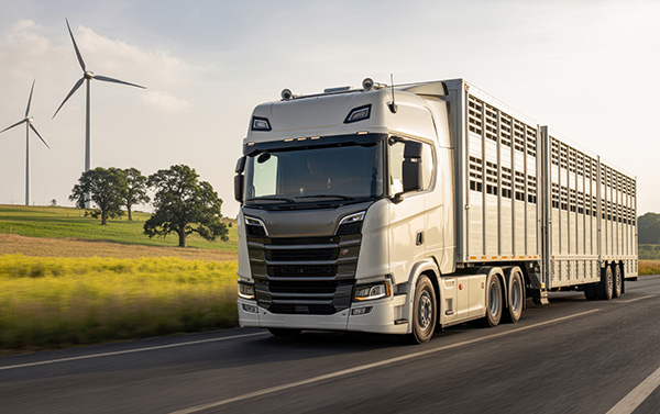 Pojazdy transportowe