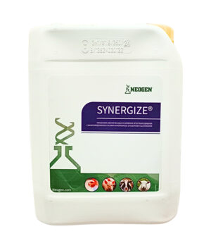 Synergize 5l – płyn do dezynfekcji